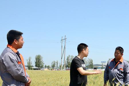 河北农业种植大户补贴政策