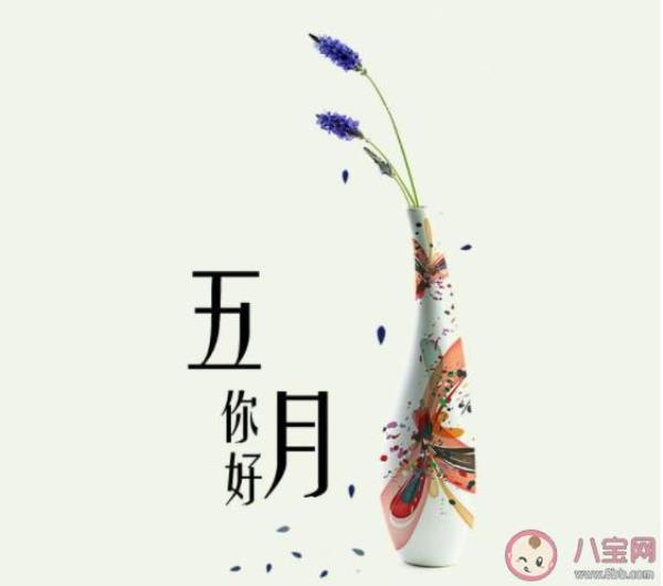 五月的尾巴文案