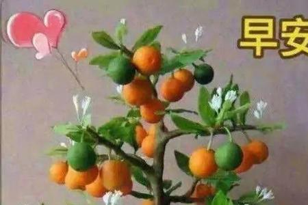 祝君好运下一句的句子