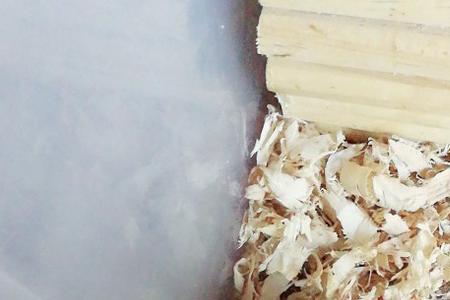 吱吱是什么意思
