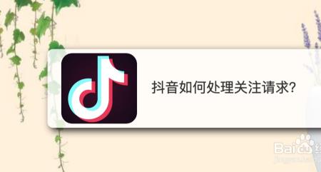 关注别人出现已请求是什么意思