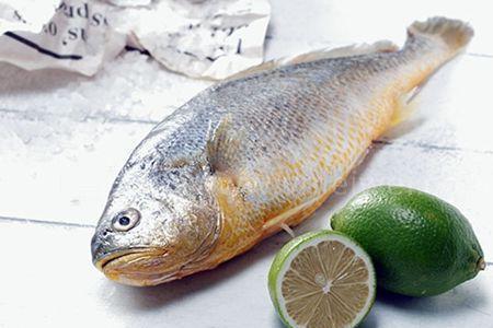 婴儿能吃长鱼吗