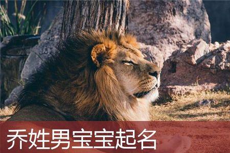 男姓薄女姓乔，孩子如何取名