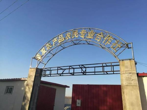 合作社100亩补贴多少钱