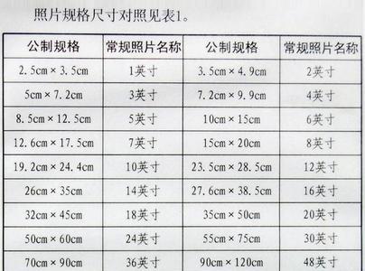 证件照一般照几张，需要多大的纸