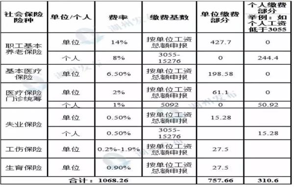 贵港市社保缴费标准