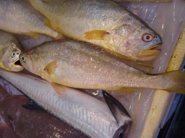 大黄鱼鱼肝是什么样子