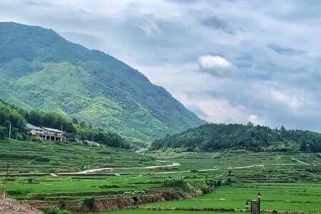 龙泉属哪个市龙泉属哪个市
