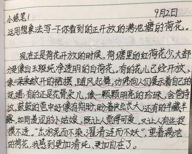 月迹小练笔怎么写
