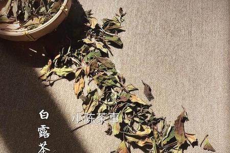 传成白茶品牌好不好