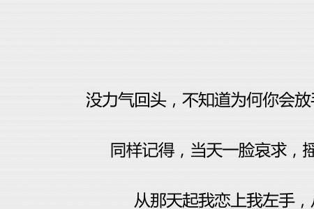无需要太多歌词意思