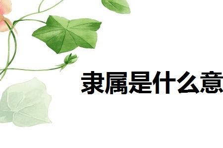 隶属意思