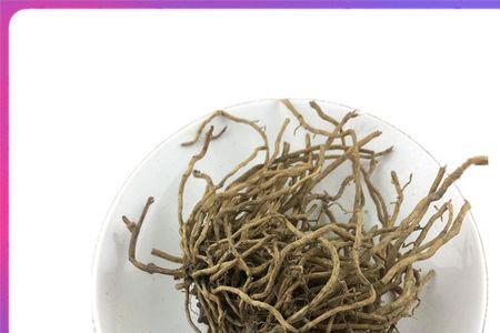 牛尾菜种子处理