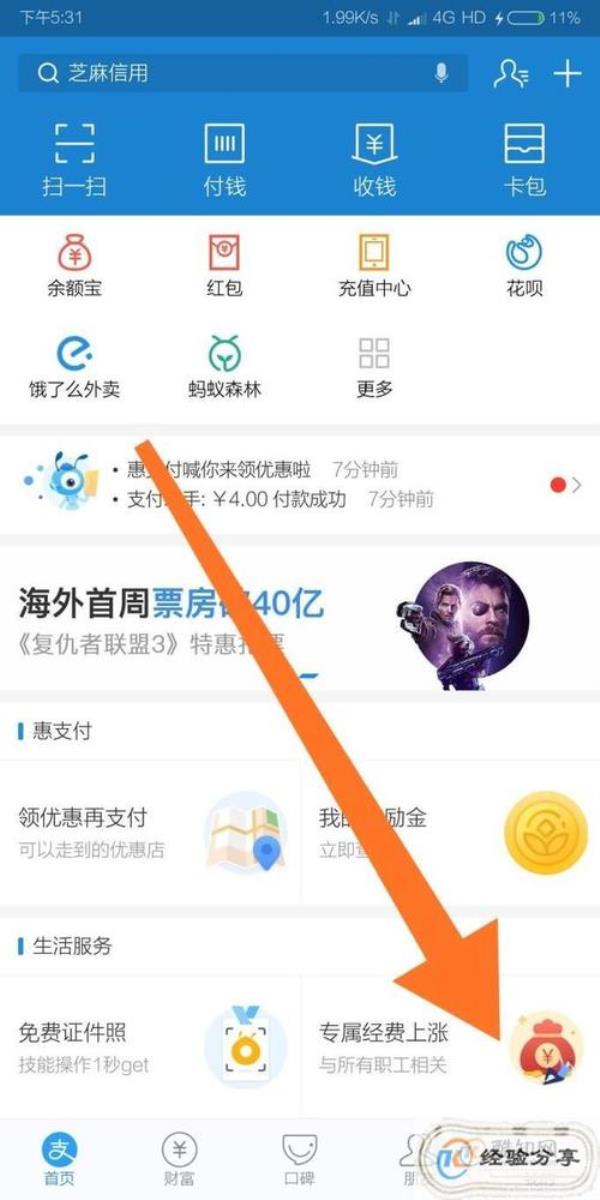 支付宝买菜暂不接单啥意思