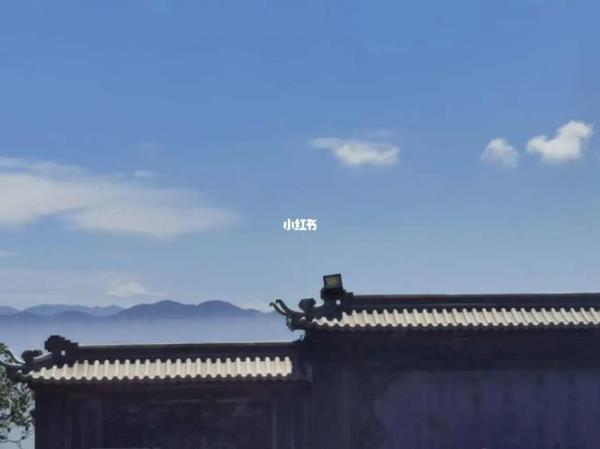 不将不迎应而不藏是什么意思