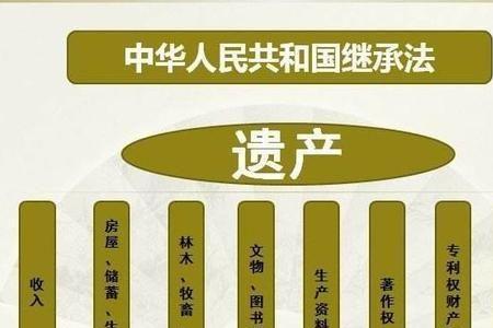 孙子继承权最新政策