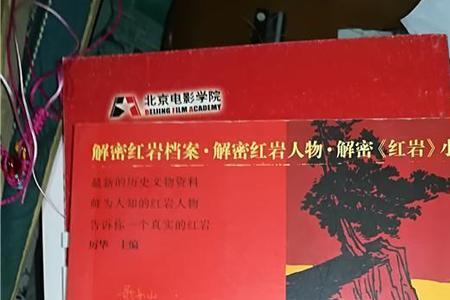 红岩甫志高外貌描写的句子