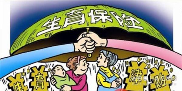 南阳生育津贴领取条件及流程