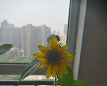 守住寂寞静待花开说的句句精辟
