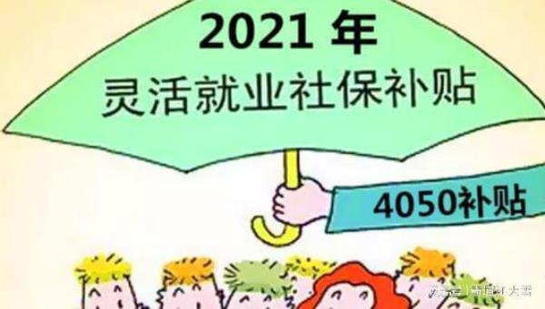 社保补助一半什么意思