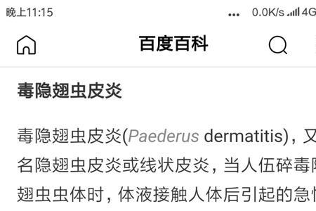 隐翅虫幼虫长什么样