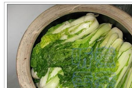 青酸菜的腌制方法