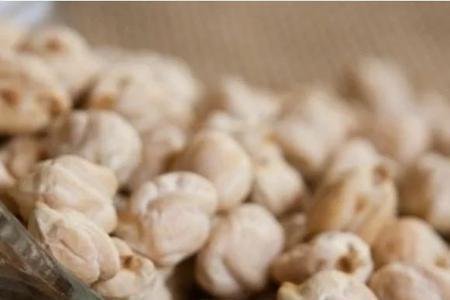 鹰嘴豆一年几茬