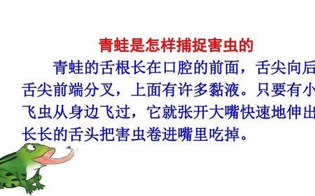 我们要爱护小青蛙类似句子