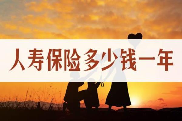 办理一年期人寿保险