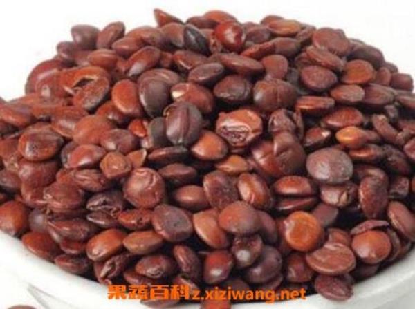 枣核分几种