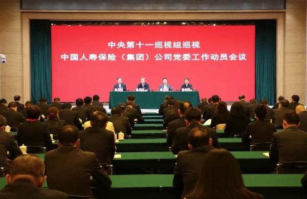 保险公司巡查什么意思