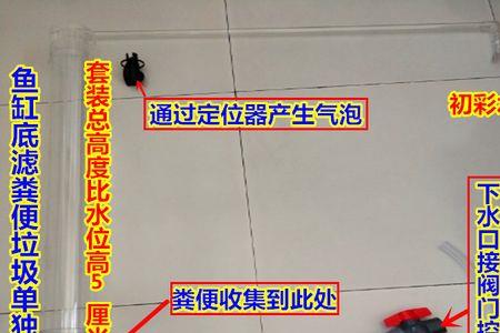 鱼缸下水溢流区最佳水位
