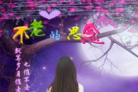 形容几天不见很想念的词