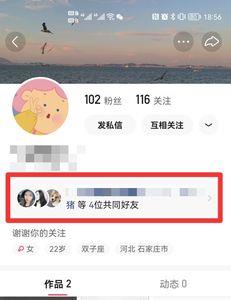 快手他在关注你哦是什么意思
