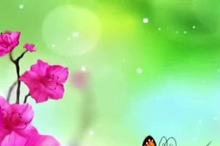 我是你格桑花原唱完整版