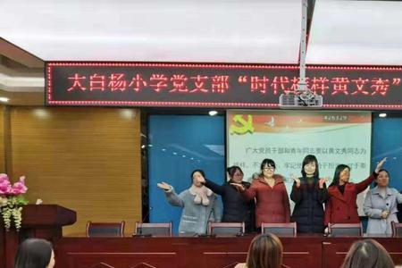 大白杨小学怎么样