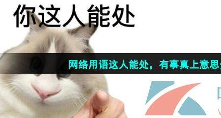 能说上话的意思