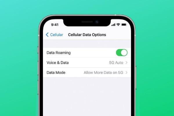 iphone12下不了东西说余额不足