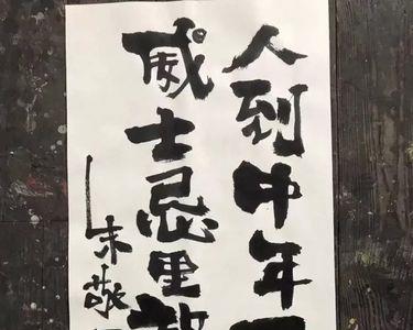 人到中年不得已，下句怎么接