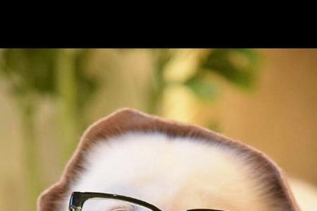 强办是什么意思