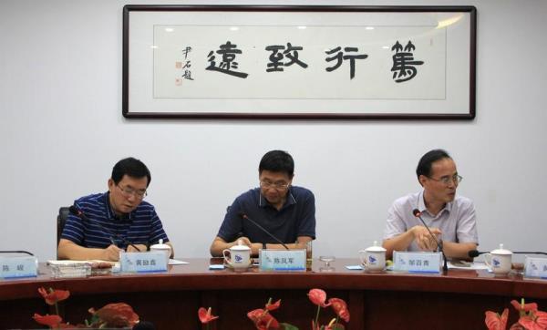 中设股份主营业务