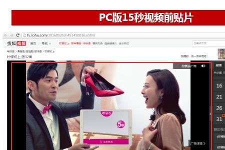 搜狐视频可以一起看电视吗
