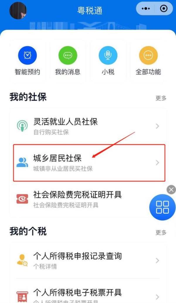 居民养老保险个人账户怎么查询