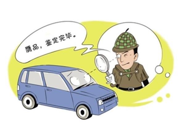 车险漏洞怎么补