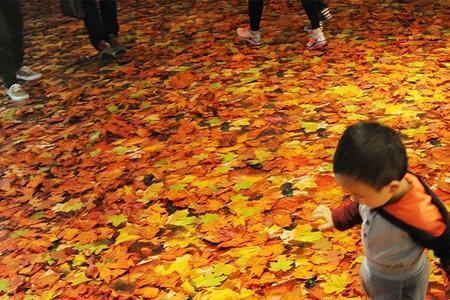 如果春天来了，冬天还会远吗