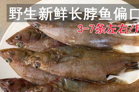 偏口鱼与鼓眼鱼哪个好