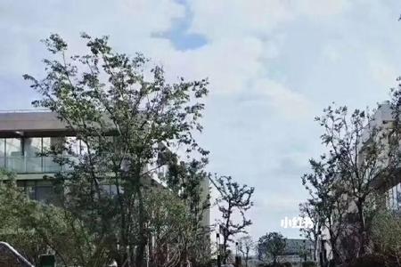 上海不限购别墅能不能买