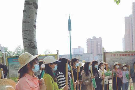 劳动教育师范类是干嘛的