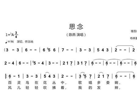 思念的解药歌词是什么意思