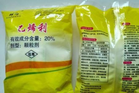 胺鲜乙烯利早上几点喷施好